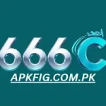 666C